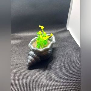 Custom Succulent Conch